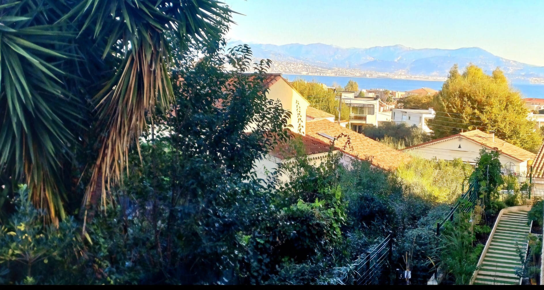 Agence immobilière de Riviera Immo