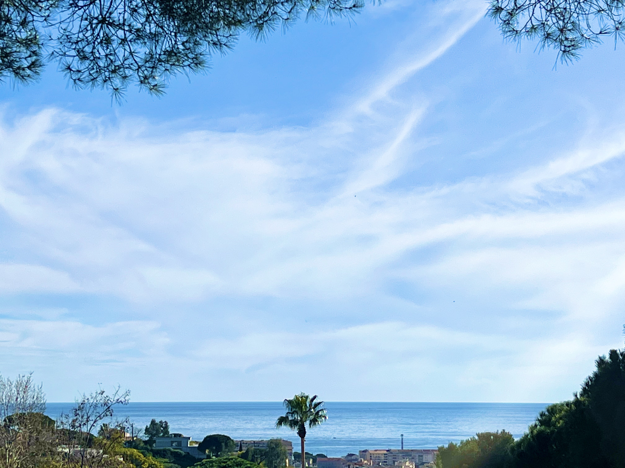 Agence immobilière de Riviera Immo